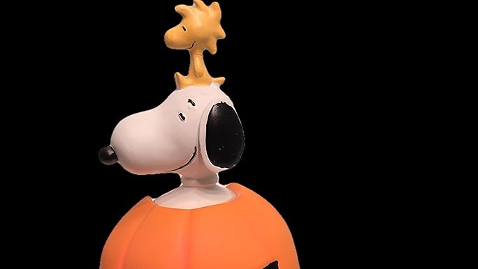 スヌーピー　ウエルカムライト Amazon.co.jp : Mr Maria Bundle of Light Snoopy PEANUTS LED